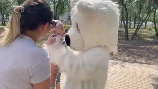 IMG 3362