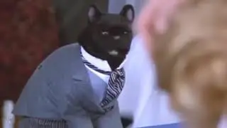 Salem the Cat Wrestler