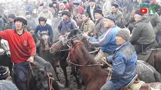#Озгон Шаары ийрисуу айылында чон аламан улак болуп отду. Алик ака чыгарган улак 17,02,2019