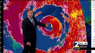 Birds trapped in the eye of Hurricane Matthew