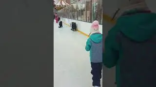 Каток. Январь 2020