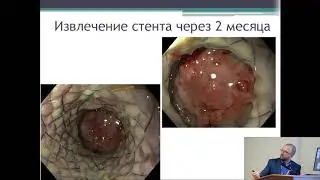 VIII Конференция НИИ 