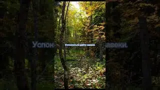 Отмолите меня у небес #поэзия #стихи #мысливстихах