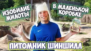 Питомник шиншилл - Обзор настольной игры