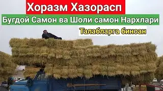 Хазорасп 