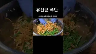 💥유산균 폭탄 양배추 겉저리 