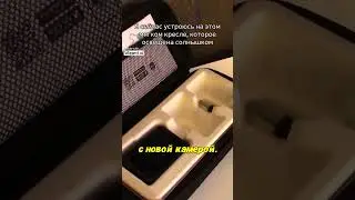 Я сейчас устроюсь на этом мягком кресле которое освещено солнышком #художниквдеревне