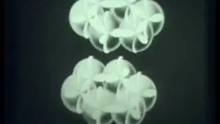 Углерод.