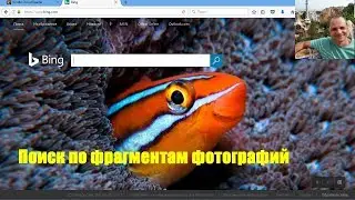 Поиск по изображению