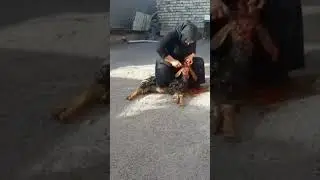 A woman slaughters a goat