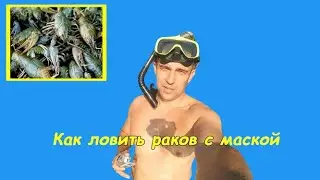 Catching crayfish with a mask