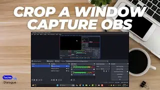 How to Crop a Window Capture OBS