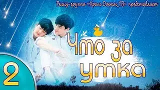 Что за утка 02/20 (озвучка Храм Дорам)