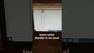 How to insert serial numbers in Microsoft Excel? 