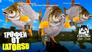 Русская рыбалка 4.🎣 р. Сура 🐳🐳🐳💦 ТРОФЕИ от LATORSO 👀