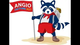 Angiopicture 2023