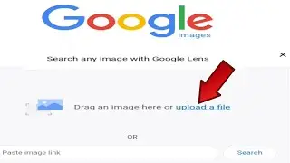 how to search images on google via android photos