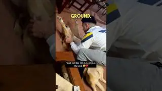 You can tell the dog needed this 😂