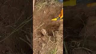 Treasure hunter / define bulma anı