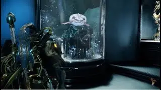 Как запустить рыбу в корабельный аквариум Warframe