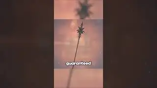 HUGE Genshin Impact 5.0 Update!