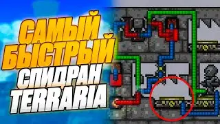 Спидран Terrarria, который ты НЕ ВИДЕЛ \ Разбор спидрана