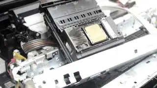 Ремонт epson xp 600 не допечатка листа, замятие бумаги + демонтаж каретки