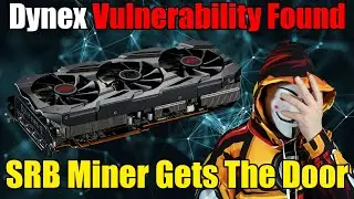 BREAKING: Dynex (DNX) VULNERABILITY FOUND!! SRB Banned
