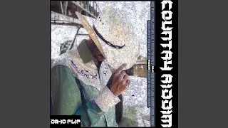 HOL! - Country Riddim (D8-10 Flip)