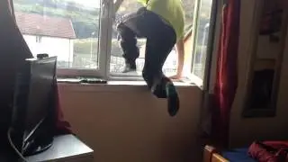 Ahh My Pound !!!