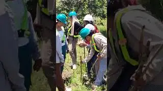 #forest Enroll in Forestry