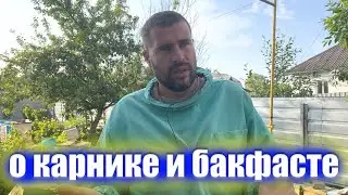 Бакфаст и карник