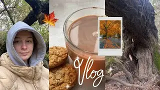 NEW VLOG : осеннее настроение и покупки