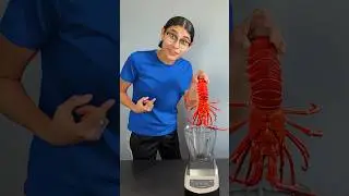 Drink a Mystery Milkshake