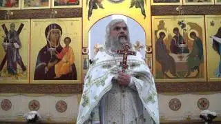 Поздравления и проповедь протоиерея Иоанна Монаршека в день Рождества Иоанна Предтечи