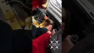Спасение кота