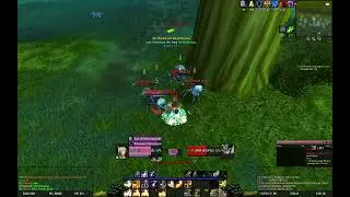 [Turtle WoW] Protection Paladin AoE grinding