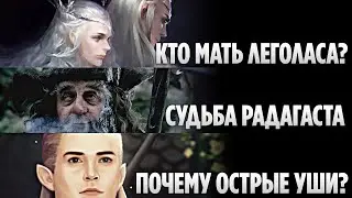 Вопросы, на Которые Толкин Никогда Не Отвечал (Властелин колец / Хоббит)