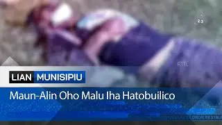 Maun-Alin Oho Malu Iha Hatobuilico