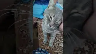 Опять травма! #shorts