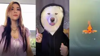 Волки делают АУФ | Смешная озвучка животных в TikTok