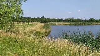 Буферный парк - один из 5 парков Царского Села. Зеленые районы Питера | июль 2021