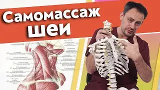Как правильно делать самомассаж шеи? | Массаж шейного отдела самостоятельно