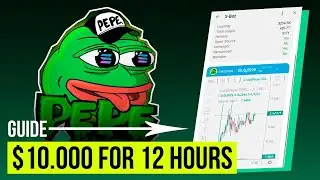 💲500000 profit ftom IDO in 12 hours ✅ crazy pepe coin meme 🔥 defi trading and crypto for beginners 💎