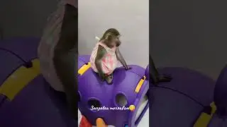 Подкрепиться нужно обязательно!😋