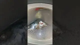 Fish with soup