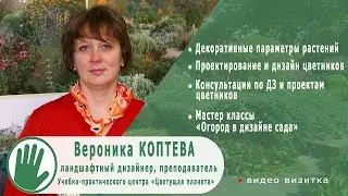 Видео-визитка 