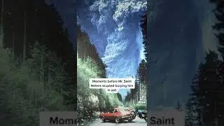Photos Taken Before Disaster 