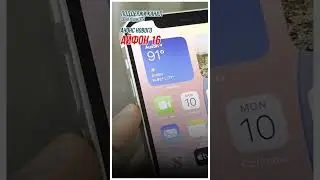 Слухи подтверждены: новая кнопка в iPhone 16?