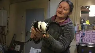 Сборное видео за 2022 (из невошедшего в основные сюжеты)